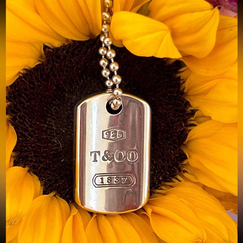 Tiffany Luxury 925 Sterling Silver Necklace